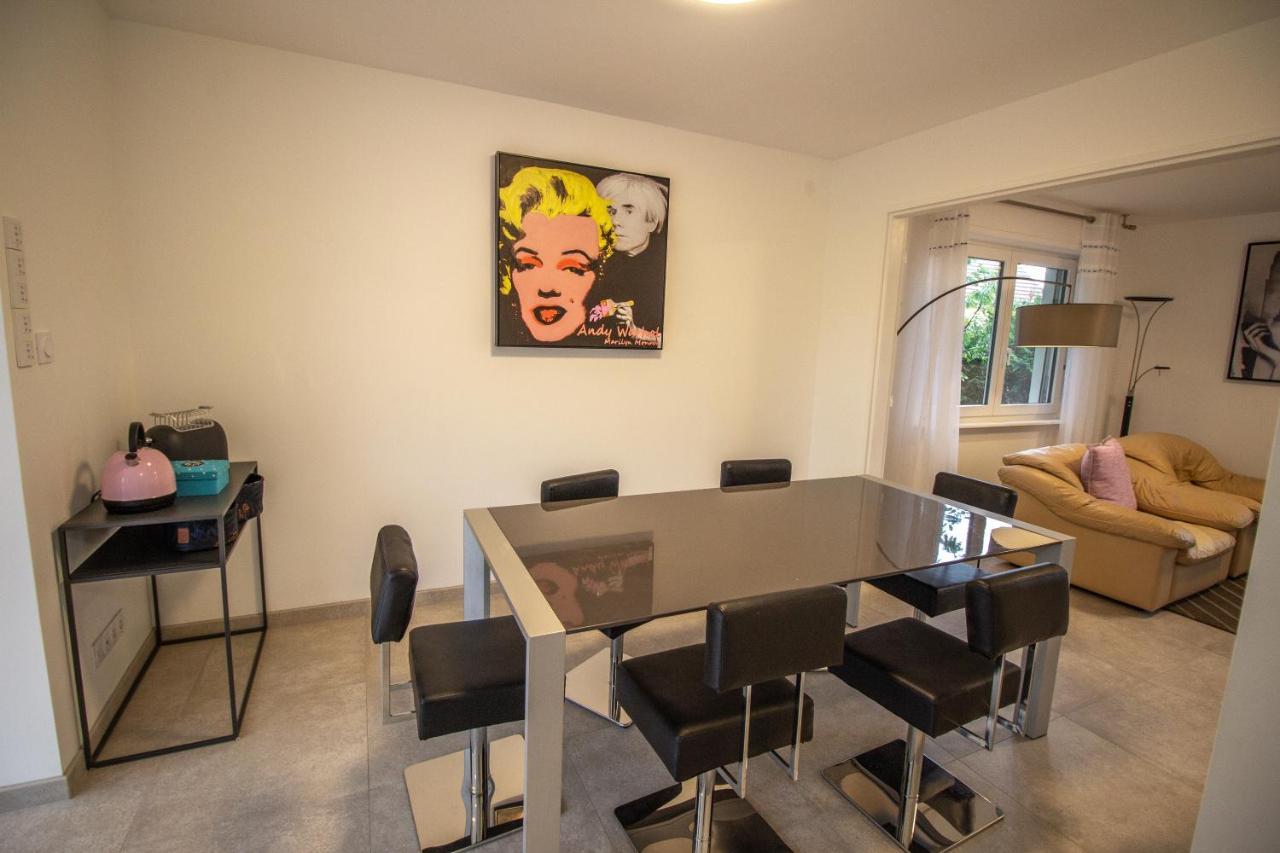 Vila Les Berges De L'Ill Andolsheim Exteriér fotografie